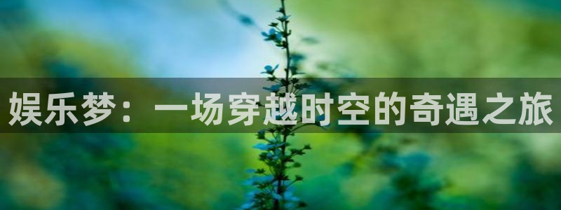 upload/20250701114914.jpg